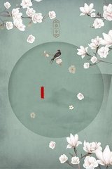老狼信息网视频